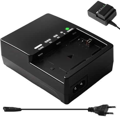 LC-E6 LC-E6E LP-E6 LP-E6N LP-E6NH Chargeur Rapide,Batterie Compatible avec EOS 5D Mark II 5D Mark III EOS 7D EOS 60D 5D2 5D3 6D Caméras Power，1 câble Secteur EU