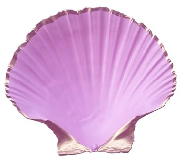 Mademoiselle Pirate Porte-bijoux Coquille Saint-Jacques rose — ASTRIDE — pièce unique faite main