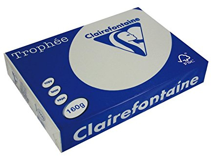 Trophée 4 Packungen à 250 Blatt Papier, 160 g, A4, 210 x 297 mm, FSC-zertifiziert, Grau