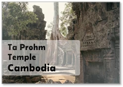 Ta Prohm Tomb Raider Temple in Angkor Complex Cambodia, Design 6, Fridge Magnet