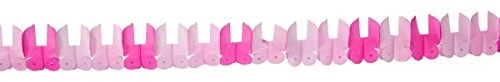 Folat 09282 - Girlande aus Papier Babywiege - Geburt Mädchen - rosa - ca. 6 m