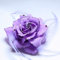 Broche et Elastique Mariage Fleur Tissu Strass Bleu Ciel