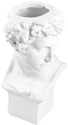 Head Planter Pot Resin Succulent Planter Greek David Head Flower Pot Greek Statue Vase Human Sculpture Planter Plants Container Bonsai Holder Pen Makeup Brush Holder 17cm