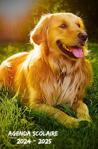 Agenda Scolaire 2024 2025 Chien Golden Retriever: Planificateur journalier 1 Jour Par Page,Organisation Pour Étudiants (Primaire,Lycée, Université)