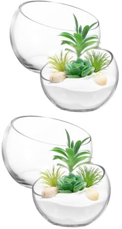 BESPORTBLE 2 Sätze Sukkulenter Hydroponikblüte Glasvasen Glasschale Pflanzentopf Terrarienglas Anlage Blumenbank Dekoschalen Tierische Pflanzer Gartentöpfe Im Freien 2 Stück * 2