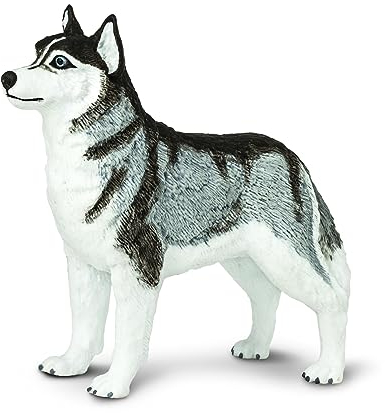 Safari - Husky Siberian Tiere, Mehrfarbig (S255229)