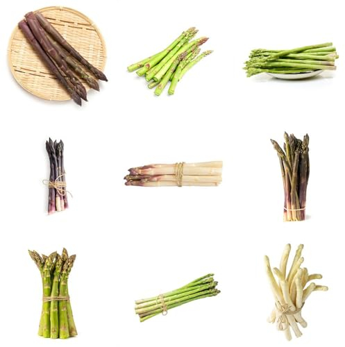 100 piezas de semillas frescas de espárragos - semillas orgánicas balcón de vegetales, Espárragos officinalis, plantas en macetas resistentes plantas en macetas plantas de bonsái perennes