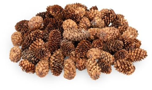 NaDeco Fichtenzapfen klein 180 g, 2-4 cm, ca. 80-100 Stück, Picea | Das kleine Format, das in Streudeko und Gestecken nicht dominiert — etwa 80 bis 100 Zapfen im Beutel