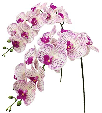 Fnize Lot de 2 tiges d'orchidée artificielles Phalaenopsis 96,5 cm en Latex au Toucher réaliste, 9 Grands pétales, Violet