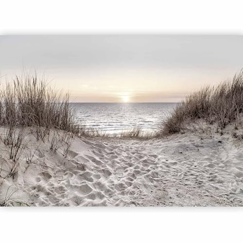 murando PREMIUM Papier peint Mer Plage 350x256 cm Décoration Murale XXL Poster Tableaux Muraux Tapisserie Photo Trompe l'oeil Paysage Coucher du soleil c-C-10028-a-a