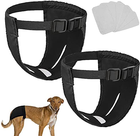 JVHLOV 2 Pack Hündinnen Läufigkeitshose, Wiederverwendbare Hundewindeln Hundehose, mit 6 Damenbinde Verstellbare Schutzhose, für Hündinnen Waschbare Schutzhose(L)