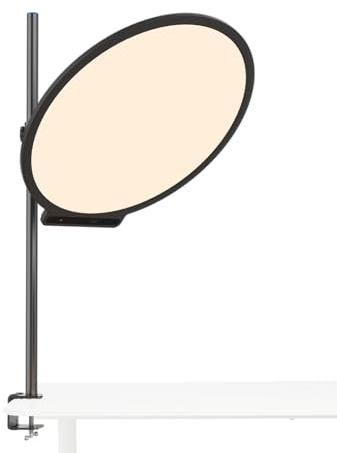 amaran Verge Max 22 Bi-Color LED Key Light 2700K-6500K | CRI 96, Edge-Lit LED Panel, Front Control Dial, USB-C Power, Desk Clamp, Studio, Streaming, Content Creation, Anthracite