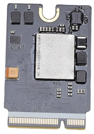 Garosa 2 TB SSD -Update -Modul mit Hoher Stabilität für die Interne Festplatte von Mini M4, Schnelle Aufzeichnung der Lesegeschwindigkeit für Professionelle Aufgaben, ESATA Schnittstelle, Tragbare