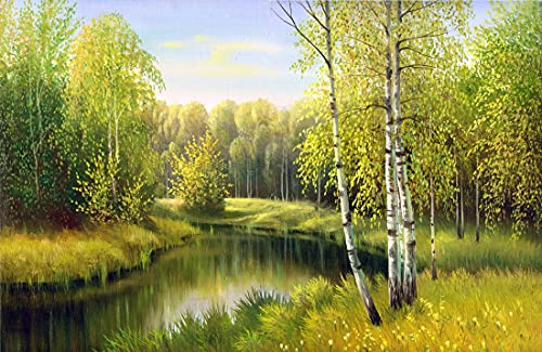 BIRKENWALD Fototapete VLIES-350x260 cm (328A)-Natur Landschaft Herbst Birken Bäume See Wald Wandtapete-Inkl. Kleister-Vliestapete Bild Dekoration Wand-Dekor Moderne Motiv-Tapete Panorama Poster XXL