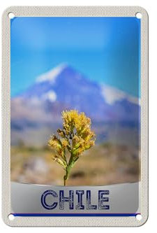 FEMER Blechschild Reise 12x18cm Chile Blume Gebirge Urlaub Dekoration