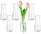 Glasseam Petit Vase pour Fleurs, Vases à Bourgeons Modernes Lot De 6, Mignon Vase en Verre Clair pour Mariage, Centre De Table, DéCoratif Vases à Fleurs Minimalistes pour Salon, De FêTe