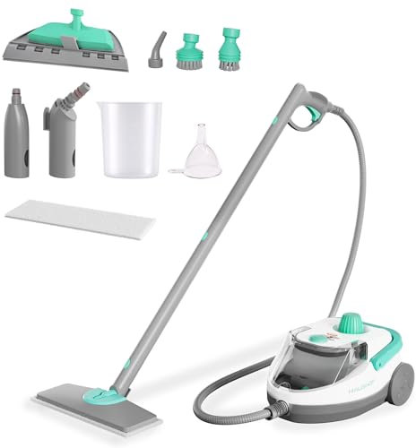 HAUSHOF Dampfreiniger 1800 W, mit 1,5 L Tank, max. 4 ,0 bar Dampfdruck, Aufheizzeit 8 Min, Dampfzeit bis zu 30 Min, inkl. 17 Zubehör & 3 m Netzkabel, für Boden, Teppich, Fenster & Küche, Weiß-Grün