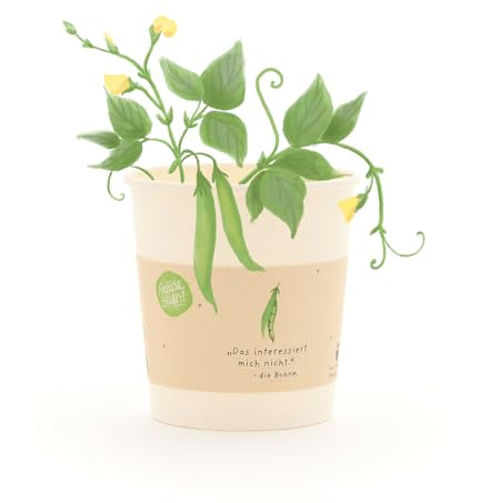 Bohnen-Anzuchtset als lustiges Geschenk | Umweltfreundlicher Anzuchtbecher mit Stangenbohnen-Saatgut, Kokos-Quelltablette & Anleitung | Nachhaltige Geschenkidee für Aufmunterung & als Spaßgeschenk