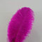 10Pcs Straußenfedern 12-14Inch (30-35cm) Für Haus Hochzeitsdekoration bietet (Fuchsie)