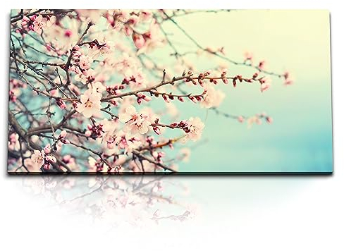 Paul Sinus Kunstdruck Bilder 120x60cm Frühling Baumblüte Kirschblüten Sonnenschein Blüten