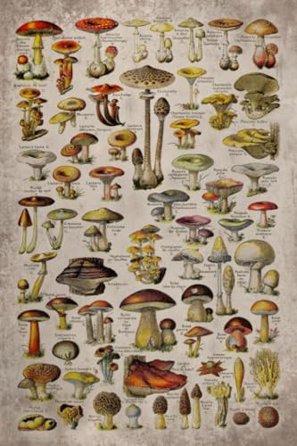 Mushroom 2024 Planner Weekly and Monthly: Minimalist Calendar Organizers, goal, to do list