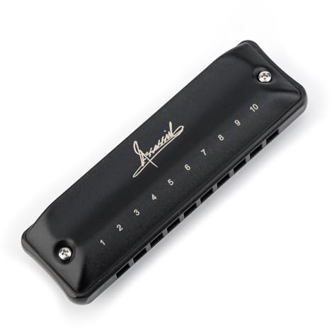 Blues Mundharmonika JDR G Mundharmonika Tonart G 10 Löcher 20 Töne Mundharmonika für Erwachsene Kinder Professionelle Anfänger Mini-Mundharmonika mit Koffer | Assassin