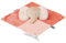 Nattou Schnuffeltuch aus Polyester, Elefant, Wegbegleiter ab der Geburt, Ca. 40 cm, Flo, Oli & Ernest, Oli Pink