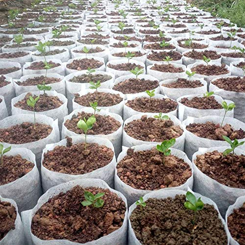 Plateau de semis Pots de tourbe,Jardin Fruits Légumes Pots de semis Plateaux de graines Plateau de rempotage,100pcs Différentes tailles Pots de semis non tissés biodégradables Sacs de plantation écolo