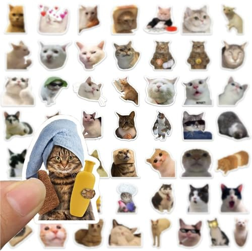Duoleimi 100 Stück Lustige Katzen Meme Sticker Set, Meme Sticker für Auto Laptop Skateboard Fahrrad