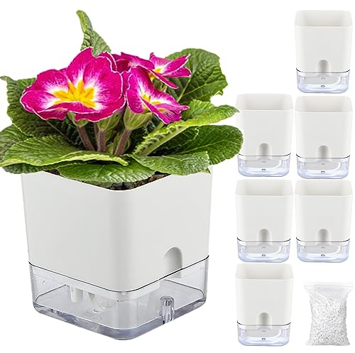 Planterhoma Macetas de riego automático para Plantas de Interior de 4.3 Pulgadas, 6 Paquetes de macetas cuadradas de riego automático con Agujero de Drenaje, macetas Blancas de Color Violeta Africano