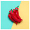 fridge magnets for adults, 3D Simulation Vegetable Fruit Fridge Magnets Message Post Pepper Mushroom Magnet Decoration Tomato Onion Refrigerator Stickers(Red Pepper)