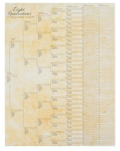 Stammbaum-Diagramm zum Ausfüllen, kompaktes Stammbaumdiagramm der 8. Generation, blanko, Ahnentafel zum Aufstellen