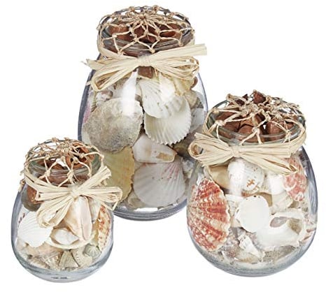 Relaxdays Muschel Deko, 3er Set, echter Muschel-Mix, verschieden große Gläser, maritim, Badezimmer Dekoration, natur, Transparent, Creme