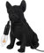 J-Line Tisch Lampe Bulldog Poly Schwarz 29 cm (Schwarz)