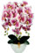 Damich Künstliche Orchidee im Topf Gummi - Modell 3pgbb, mit Moos, 60 cm hoch, 3 Stielen mit vielen Blumen (Weiß-rosa)