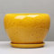 LAUMZX Large Yellow Ceramic Plant Pot With Drainage Hole And Saucer, Indoor/Outdoor Glazed Flower Planter With Speckled Finish For Houseplants, Succulents, And Patio Decor
