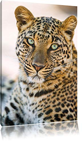 Pixxprint schöner Leopard, Größe: 60x40cm, Leinwandbild, fertig gespannt, Wandbild, Dekoration, Kunstdruck, kein Poster