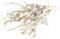 INNA-Glas Wildholz - Zweige Mandy im Bund, beige - weiß gekalkt, 30cm - Dekozweig - Dekobündel