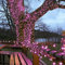 Festive Lights - ConnectPro Outdoor LED String Fairy Lights - Connectable - IP65 Rubber Black Cable | Wedding, Christmas, Garden, Commercial, Party (Pink w/Plug, 10m)