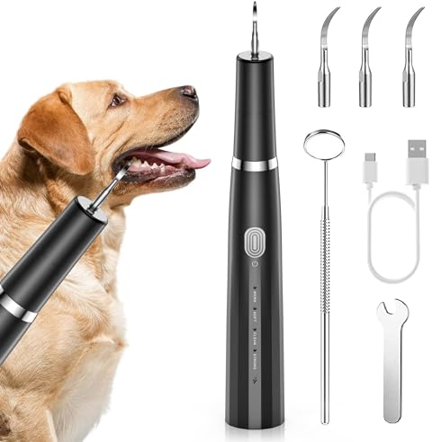 Zahnsteinentferner Ultraschall Zahnreiniger für Hund und Katze, Zahnpflege Elektrische Haustierzahnbürste, Reinigungsset Bekämpft Zahnstein Mundgeruch und Zahnfleischentzündungen, Schwarz