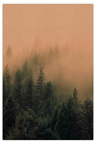 micasia Korkteppich rutschfeste Oberfläche Natur Bodenschutz - Naturprodukt - Modern 3,5mm dünne Kork Bodenmatte grün Küche Flur trittsichere Matte 3738 (40x60cm)