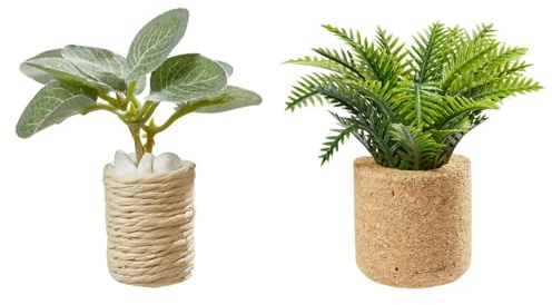 HobbyFun Miniatur-Set Zimmerpflanzen 2 Stk 5.5-6.5 cm Puppenhaus Modellbau Dekoration, Zubehör, Bastelbedarf, DIY-Projekte