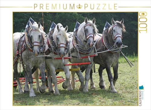 CALVENDO Puzzle Percheron | 1000 Teile Lege-Größe 64 x 48 cm Foto-Puzzle für glückliche Stunden