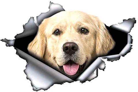 MACMRD Auto Aufkleber 13 cm X 8,8 cm Golden Retriever Autoaufkleber Zerrissener Metallaufkleber Reflektierende Aufkleber Wasserdichtes Auto-Styling-Dekor