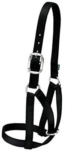 Weaver Leather Viehhalfter Kuh Scheune Halter, Schwarz, Größe M (35-8004-BK)