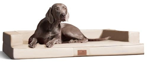 tierlando® Orthopädisches Hundesofa Gibson aus Kunstleder mit Visco-Matratze, kubisches Design, gelenkschonende Hundelounge mit Rutschfester Unterseite Größe: 80x60cm | Farbe: 05 Creme