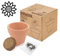 CAPRILO Lote de 10 Macetas Decorativas de Terracota con Semillas (a Elegir). Decoración Hogar. Menaje Jardín. Regalos Originales. Detalles para Comuniones, Cumpleaños, Bautizos y Bodas. DK (Surtidas)