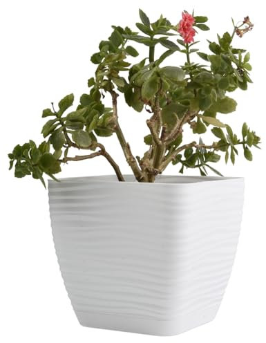 B2C Plant Pot Flowerpot Square Plastic Modern Decorative Wave Grooves Textured Elegant & Modern With Saucer (White, 15cm)