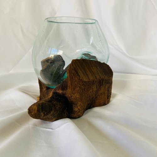 Vaso Orchidea Vetro su Radice Calice Artigianale