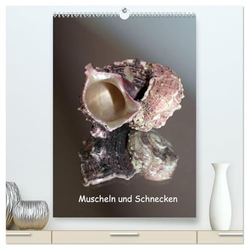 Muscheln und Schnecken (hochwertiger Premium Wandkalender 2026 DIN A2 hoch), Kunstdruck in Hochglanz: Muscheln und Schneckenhäuser gespiegelt in Szene gesetzt. (CALVENDO Natur)